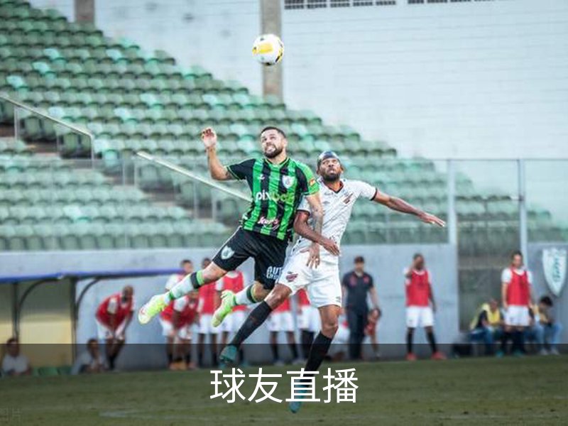 关于球友直播